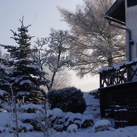 Pensjonat Nostalgia Sosnowka (Jelenia Gora) Exterior photo