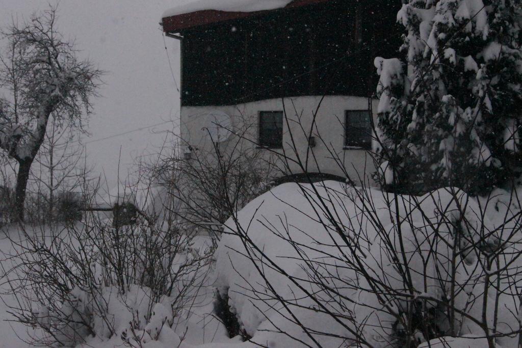 Pensjonat Nostalgia Sosnowka (Jelenia Gora) Exterior photo